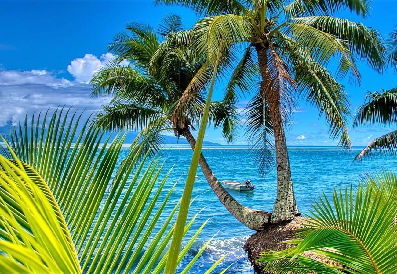 Villa à Tiahura - MOOREA - Villa Tiahura