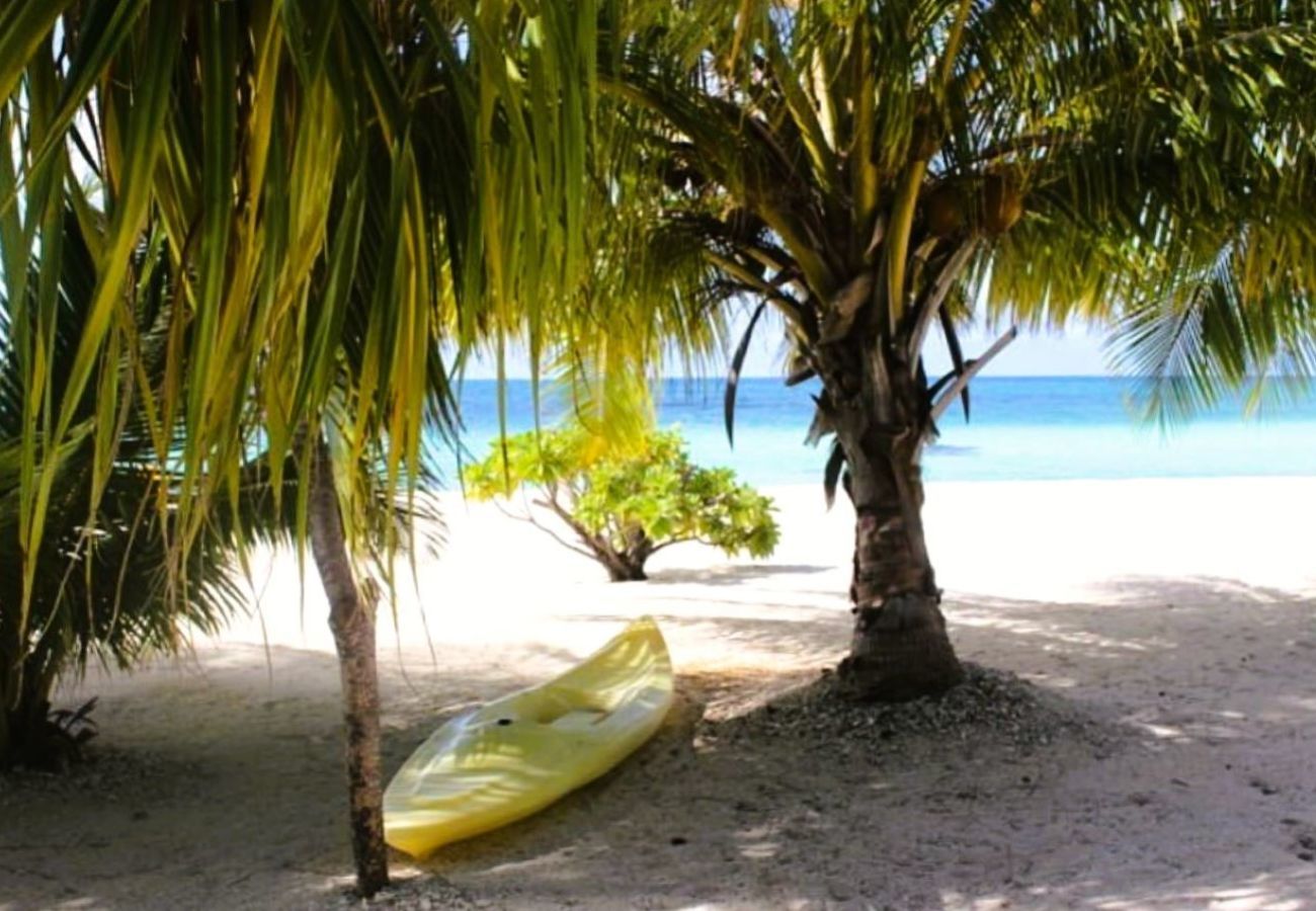 Bungalow à Tuherahera - TIKEHAU - Pink Dream Beach 1