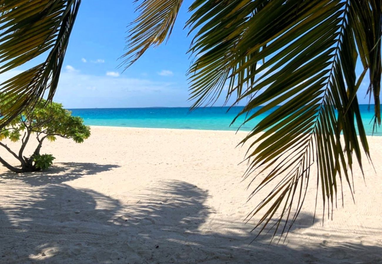 Bungalow à Tuherahera - TIKEHAU - Pink Dream Beach 1