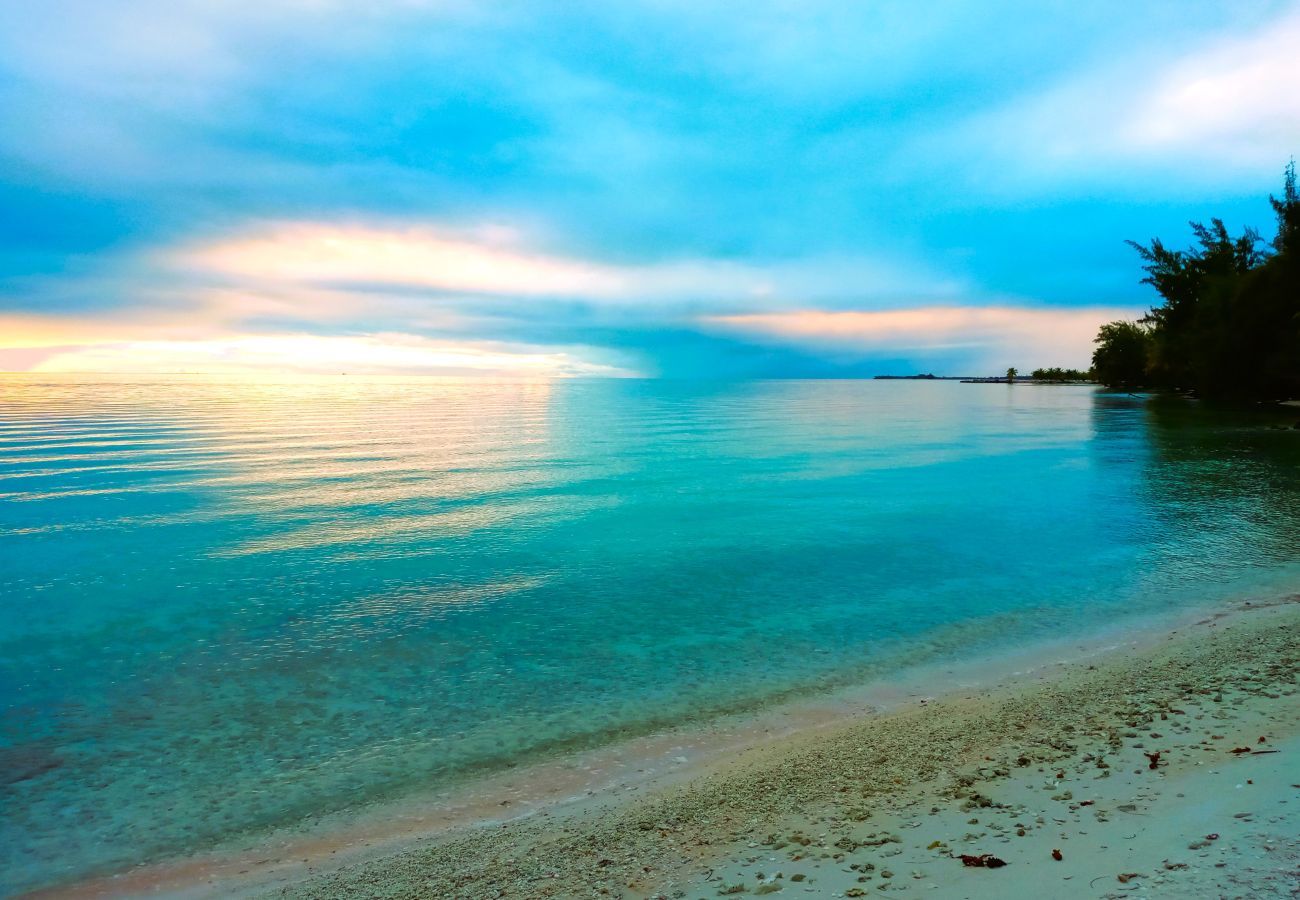 Bungalow à Tuherahera - TIKEHAU - Pink Dream Beach 1