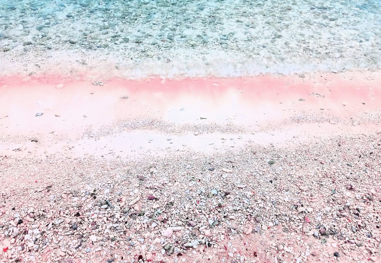 Bungalow à Tuherahera - TIKEHAU - Pink Dream Beach 1