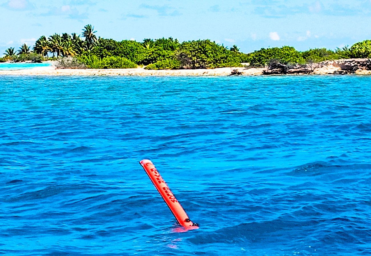 Bungalow à Tuherahera - TIKEHAU - Pink Dream Beach 1