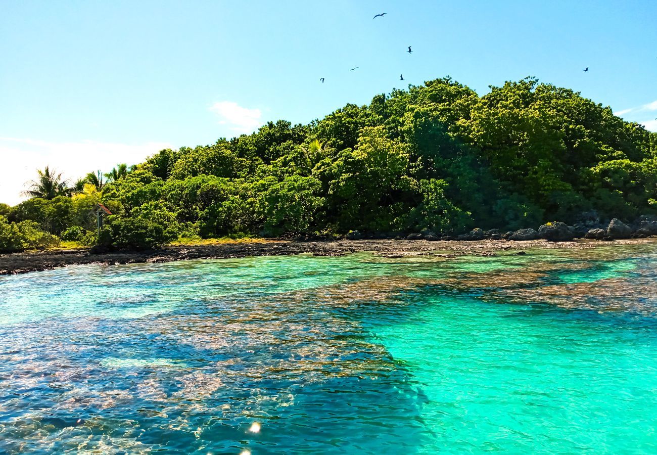 Bungalow à Tuherahera - TIKEHAU - Pink Dream Beach 1