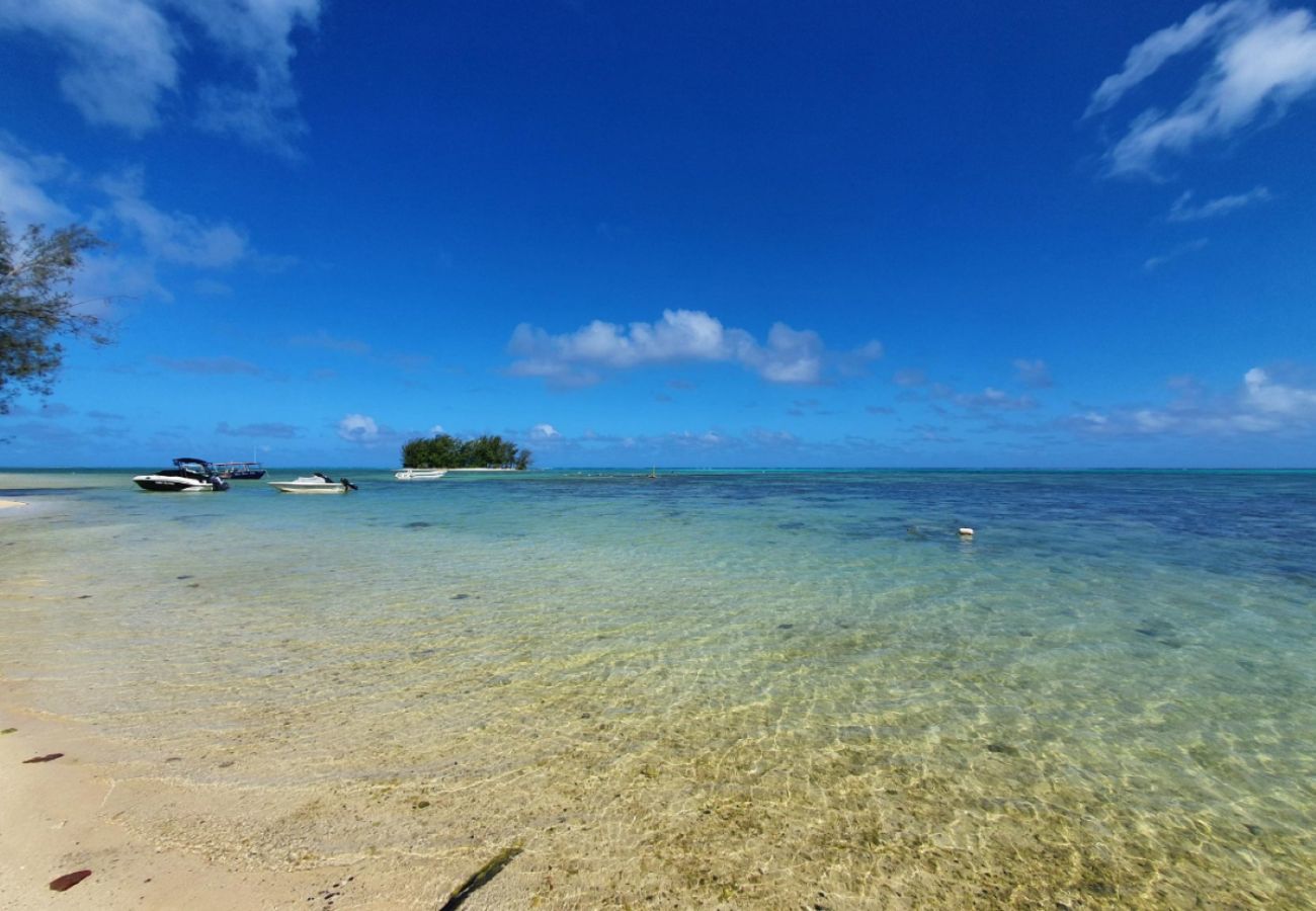 Bungalow à Hauru - MOOREA - Tropical Bungalow