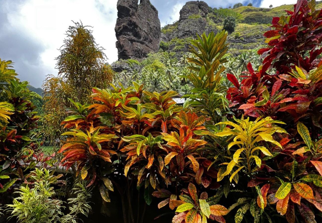 Chambres d'hôtes à Hanavave - FATU HIVA - Hanavave Room 2