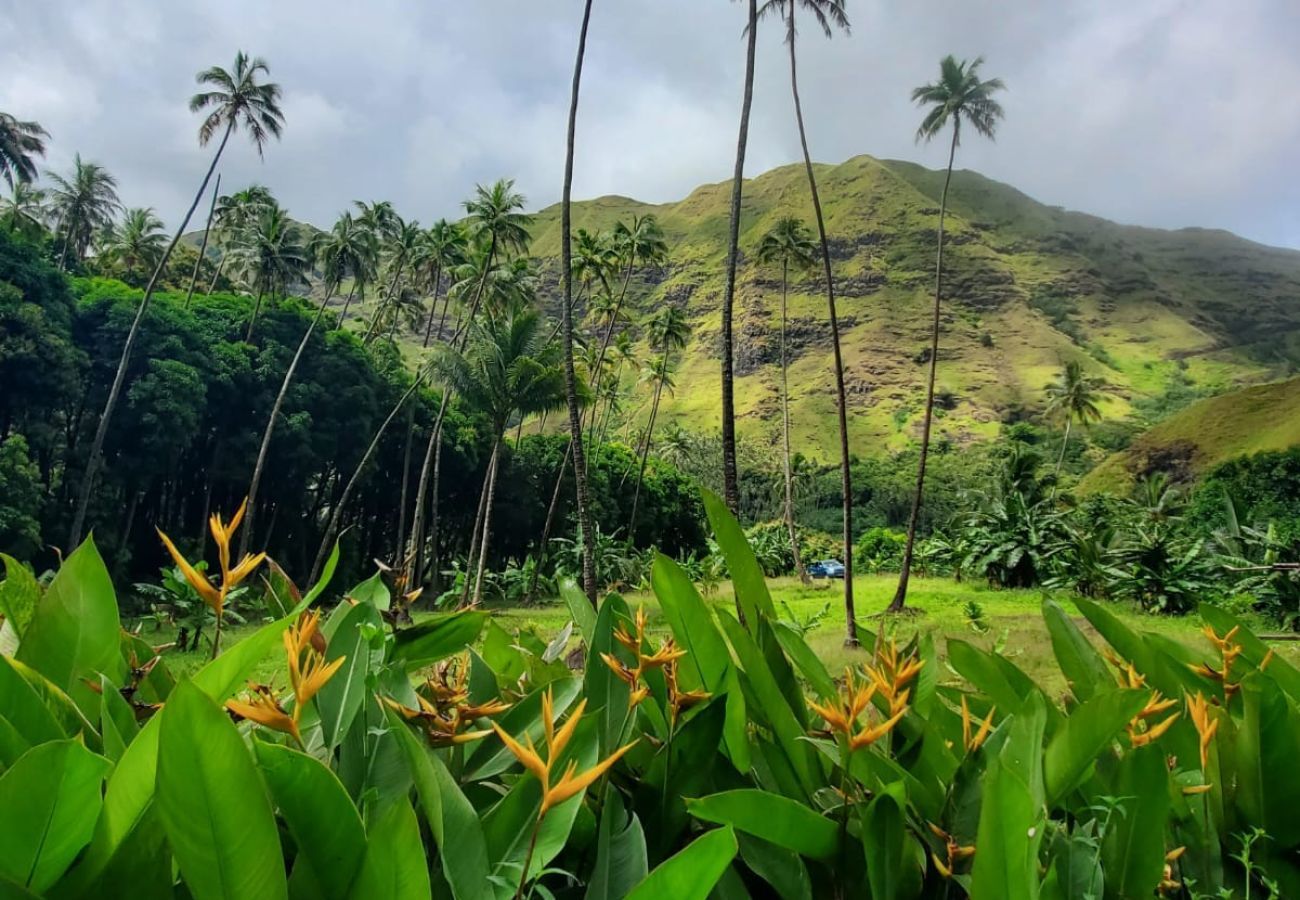 Chambres d'hôtes à Hanavave - FATU HIVA - Hanavave Room 2