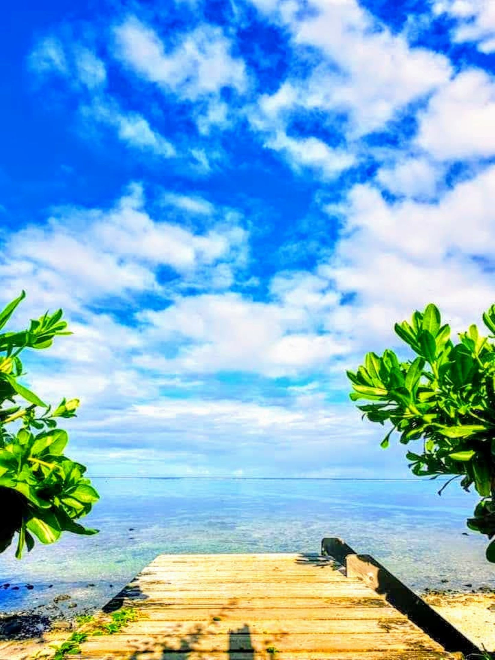 Bungalow em Haapiti - MOOREA - Fare Taina Iti