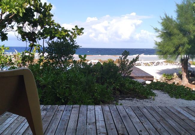 Bungalow em Fakarava  - FAKARAVA - Teariki Lodge 1