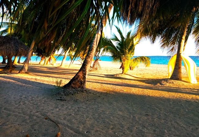 Bungalow em Tuherahera - TIKEHAU - Pink Dream Heaven 1 Bungalow em Tuherahera - TIKEHAU - Pink Dream Heaven 1