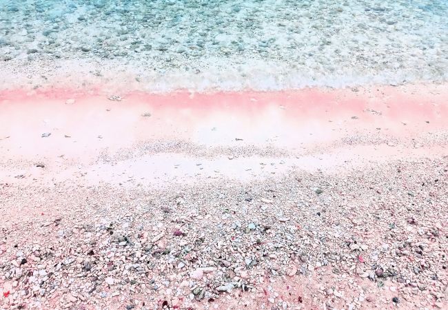 Bungalow em Tuherahera - TIKEHAU - Pink Dream Heaven 1 Bungalow em Tuherahera - TIKEHAU - Pink Dream Heaven 1