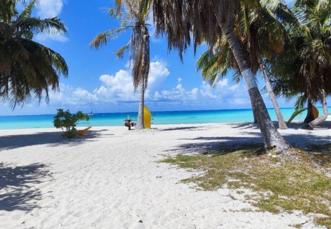 Bungalow em Tuherahera - TIKEHAU - Pink Dream Heaven 1 Bungalow em Tuherahera - TIKEHAU - Pink Dream Heaven 1