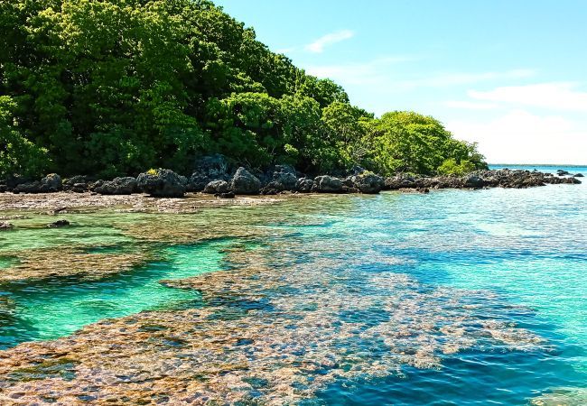 Bungalow em Tuherahera - TIKEHAU - Pink Dream Beach 2 Bungalow em Tuherahera - TIKEHAU - Pink Dream Beach 2