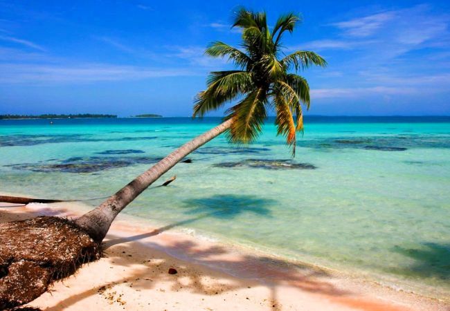 Bungalow em Tuherahera - TIKEHAU - Pink Dream Beach 2 Bungalow em Tuherahera - TIKEHAU - Pink Dream Beach 2