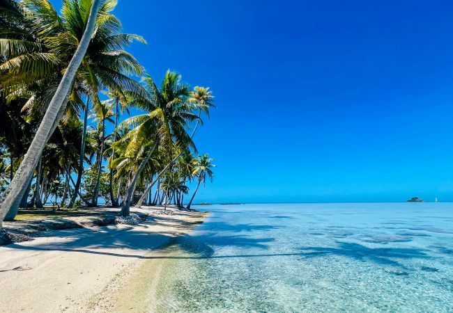 Villa em Avatoru - RANGIROA - Villa Prestige Fara Iti Villa em Avatoru - RANGIROA - Villa Prestige Fara Iti