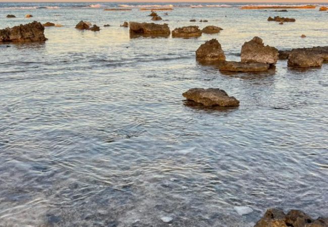 Bungalow em Avatoru - RANGIROA - Hope Bungalow Bungalow em Avatoru - RANGIROA - Hope Bungalow