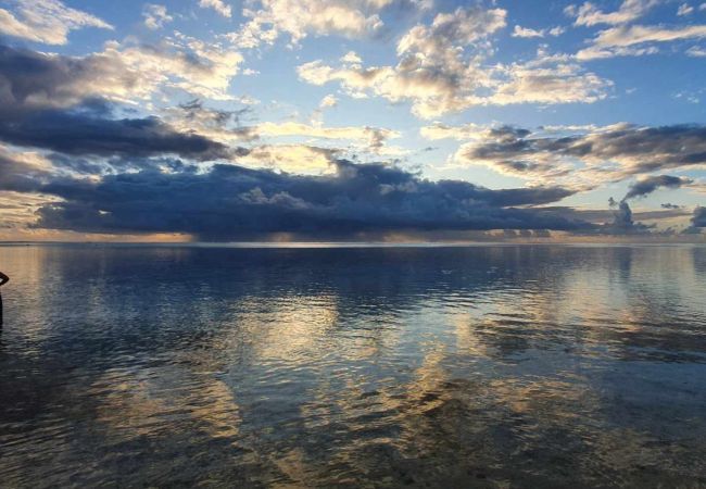Estúdio em Hauru - MOOREA - Tropical Moana Cottage Estúdio em Hauru - MOOREA - Tropical Moana Cottage