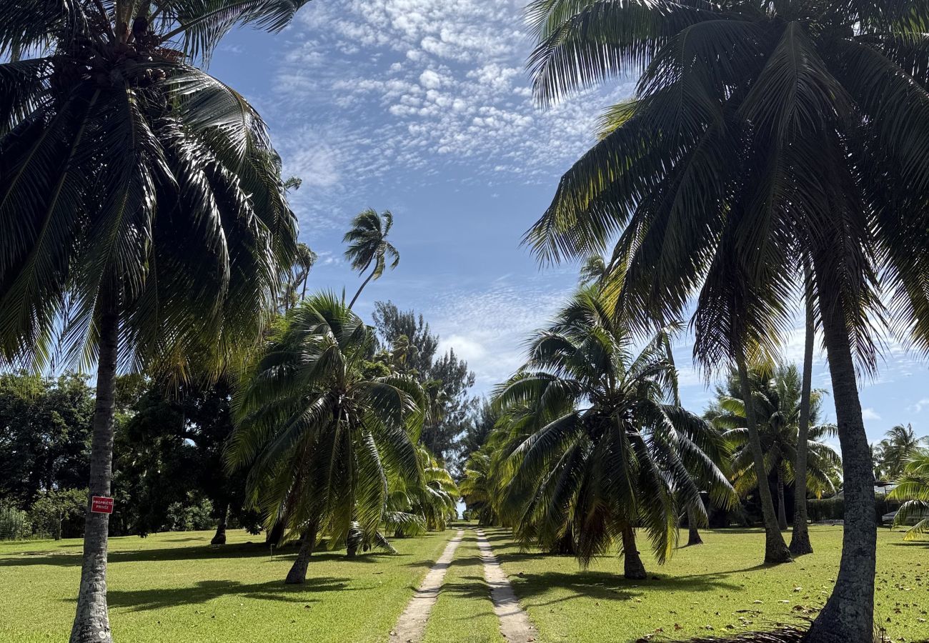 Villa em Tiahura - MOOREA - Sundara Soul Villa