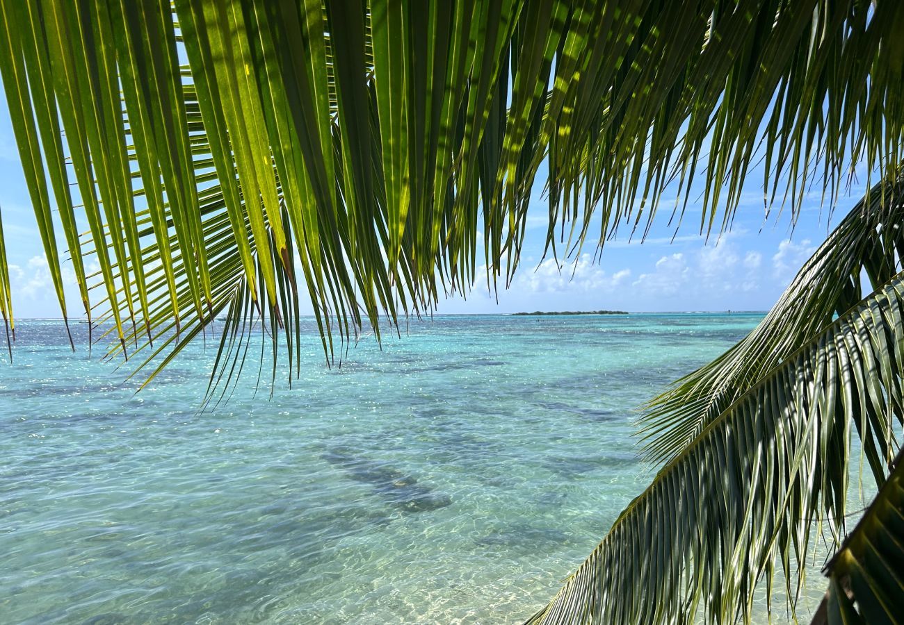 Villa em Tiahura - MOOREA - Sundara Soul Villa