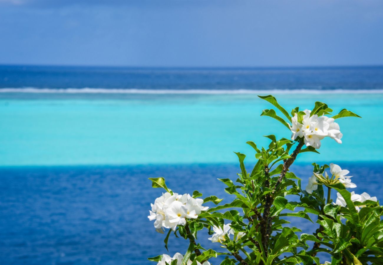 Casa em Huahine-Nui - HUAHINE - Villa Toru Maroe Bay 7 pers