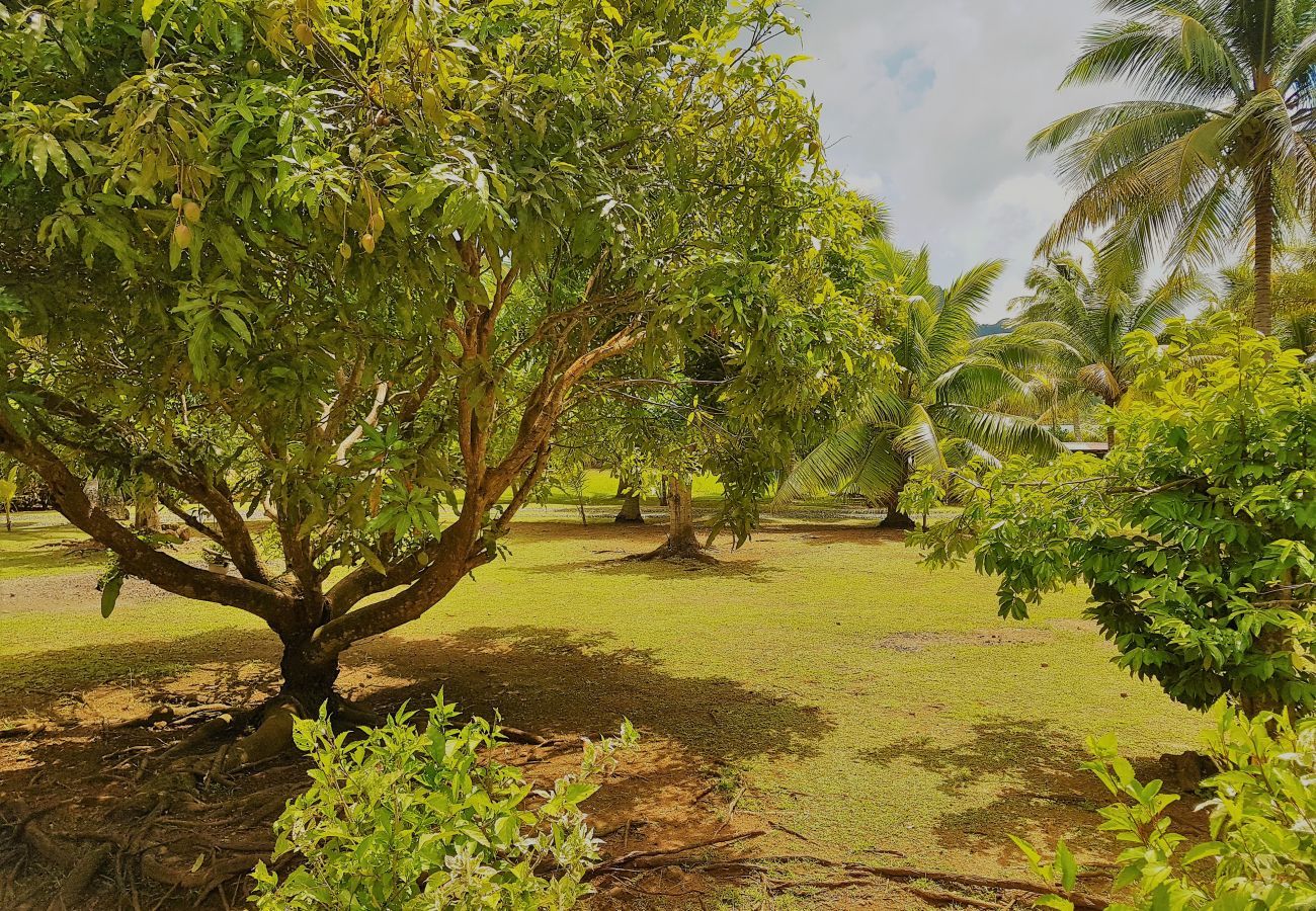 Casa em Huahine-Nui - HUAHINE - Tipanier House