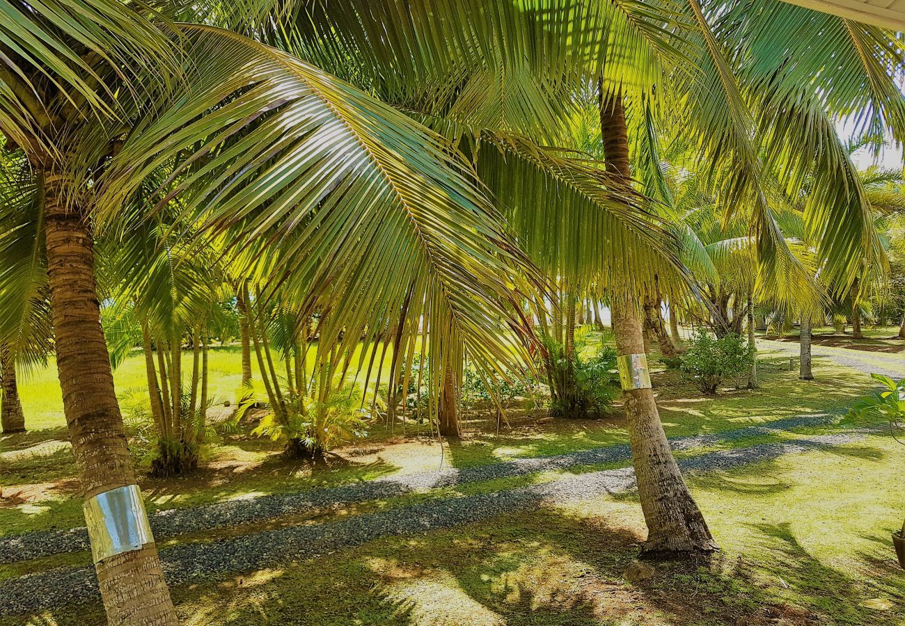 Casa em Huahine-Nui - HUAHINE - Tipanier House