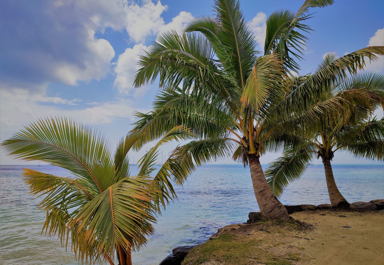 Casa em Huahine-Nui - HUAHINE - Tipanier House