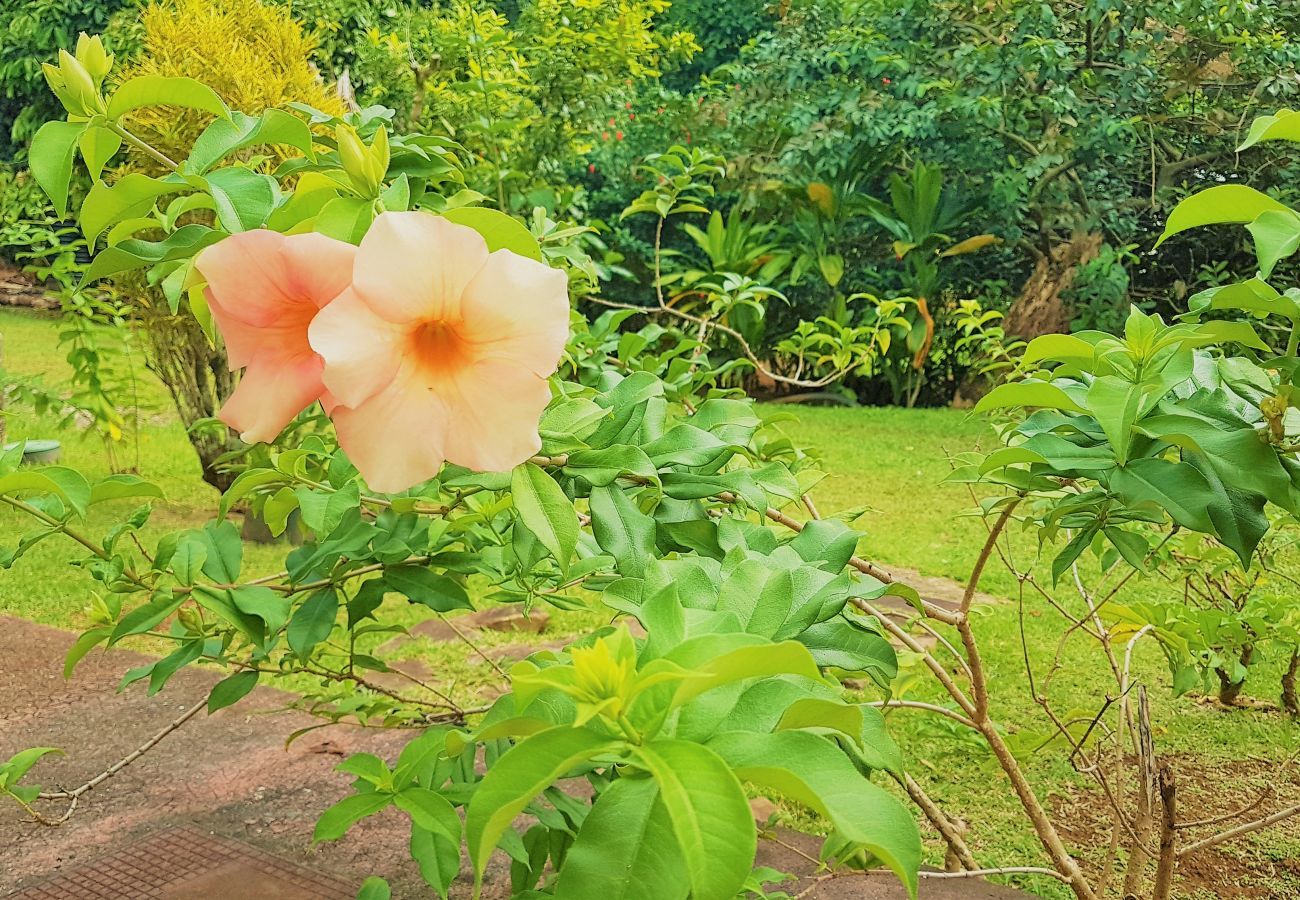 Casa em Huahine-Nui - HUAHINE - Tipanier House
