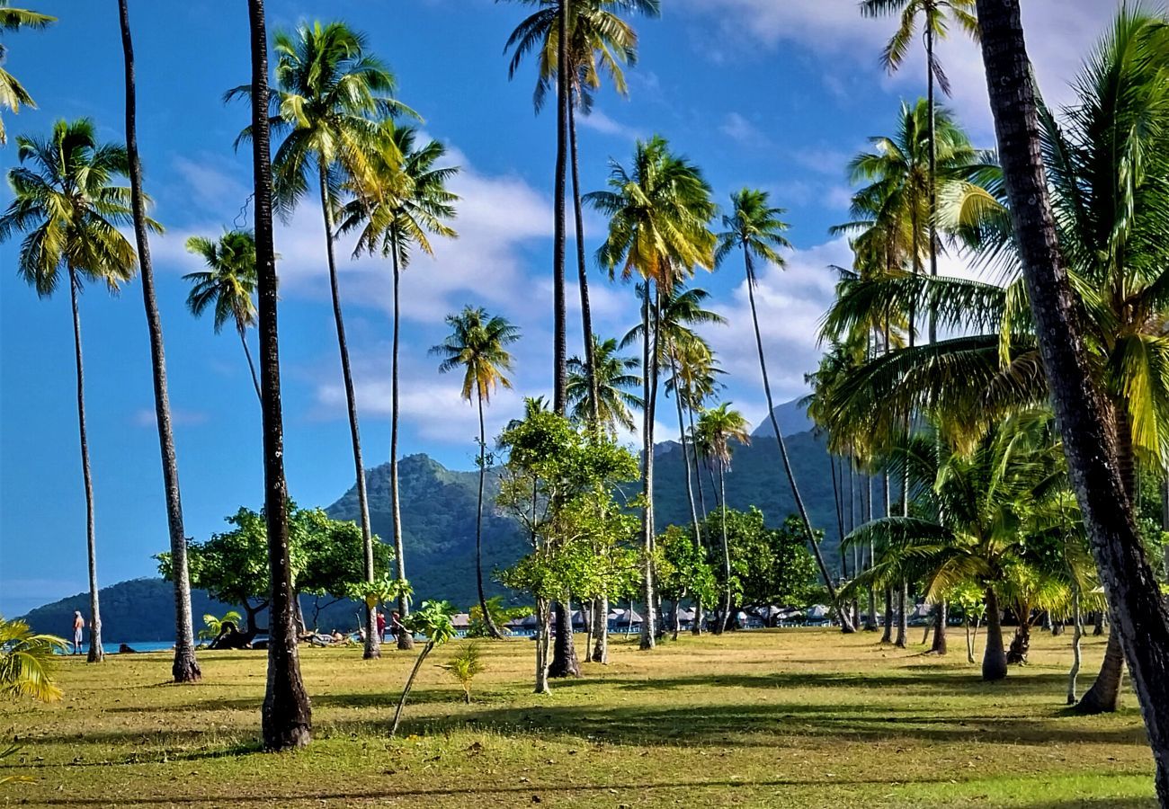 Bungalow em Temae - MOOREA - O Motu