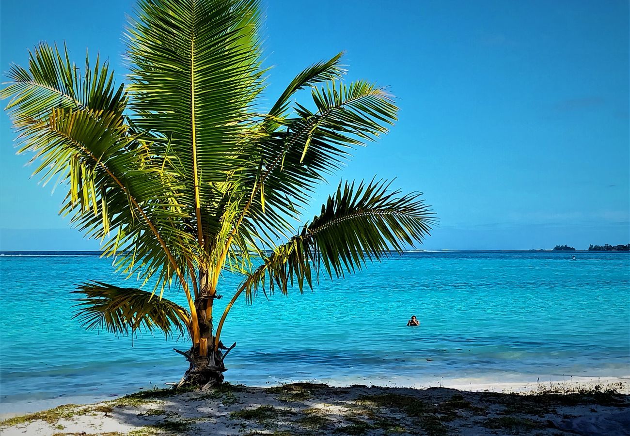Bungalow em Temae - MOOREA - O Motu