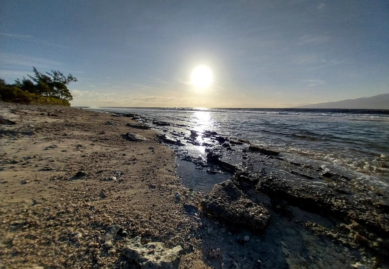 Bungalow em Temae - MOOREA - O Motu