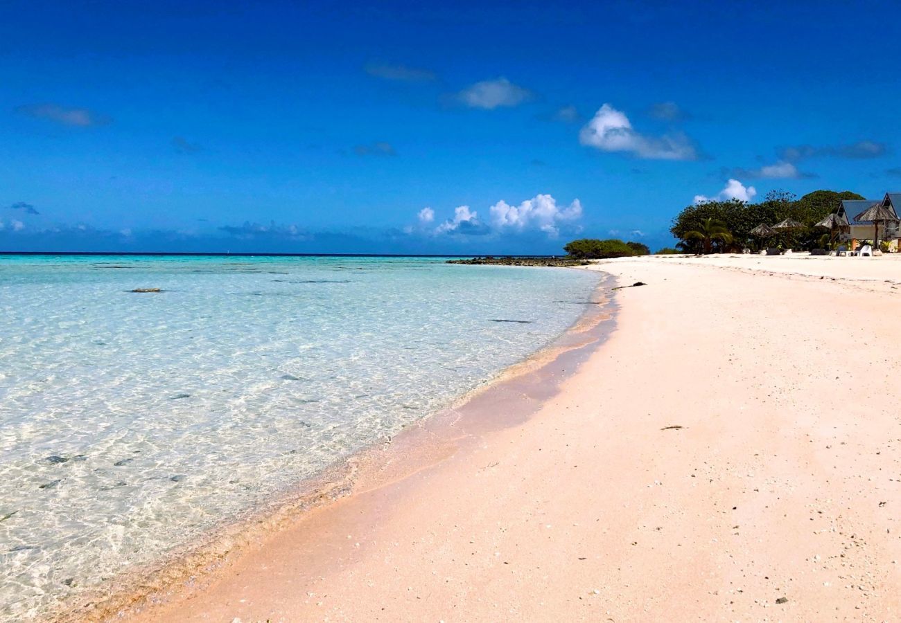 Bungalow em Makemo - MAKEMO - The Lost Paradise Beach Hoe