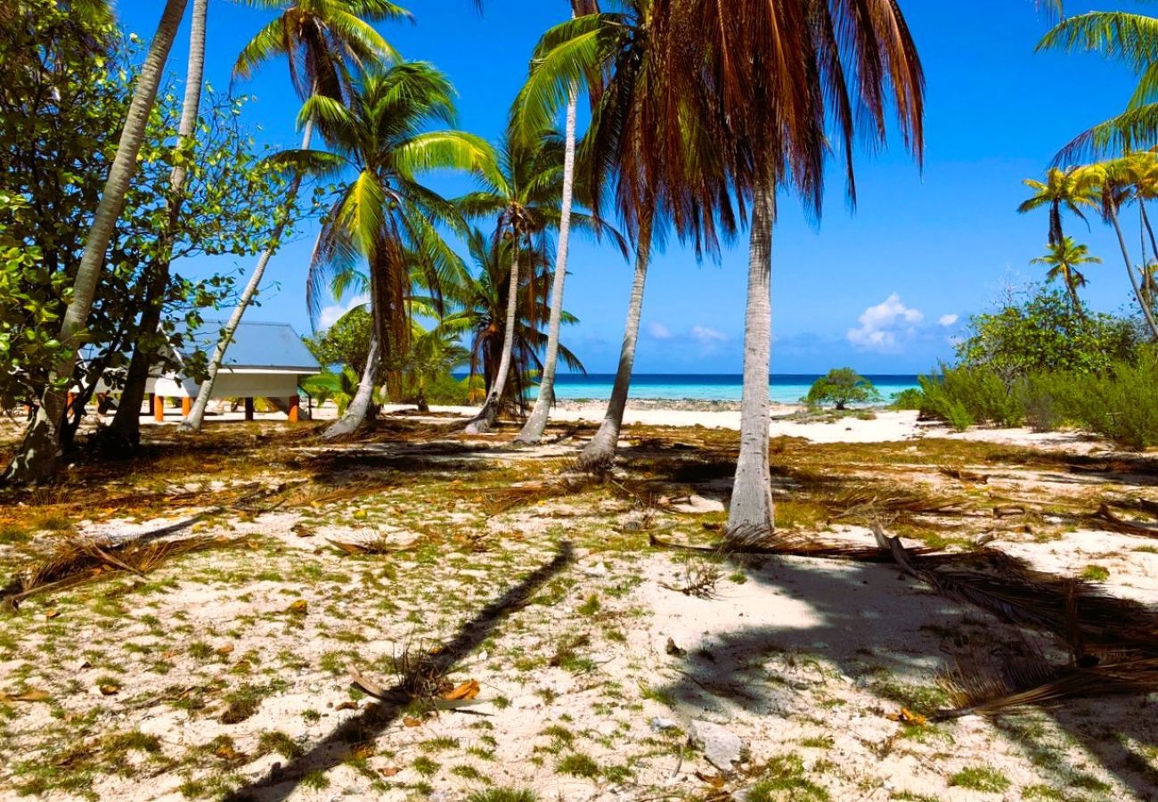 Bungalow em Makemo - MAKEMO - The Lost Paradise Garden Piti