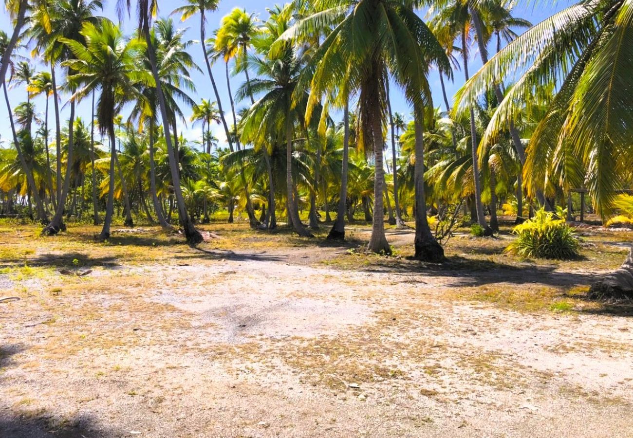 Bungalow em Makemo - MAKEMO - The Lost Paradise Garden Piti