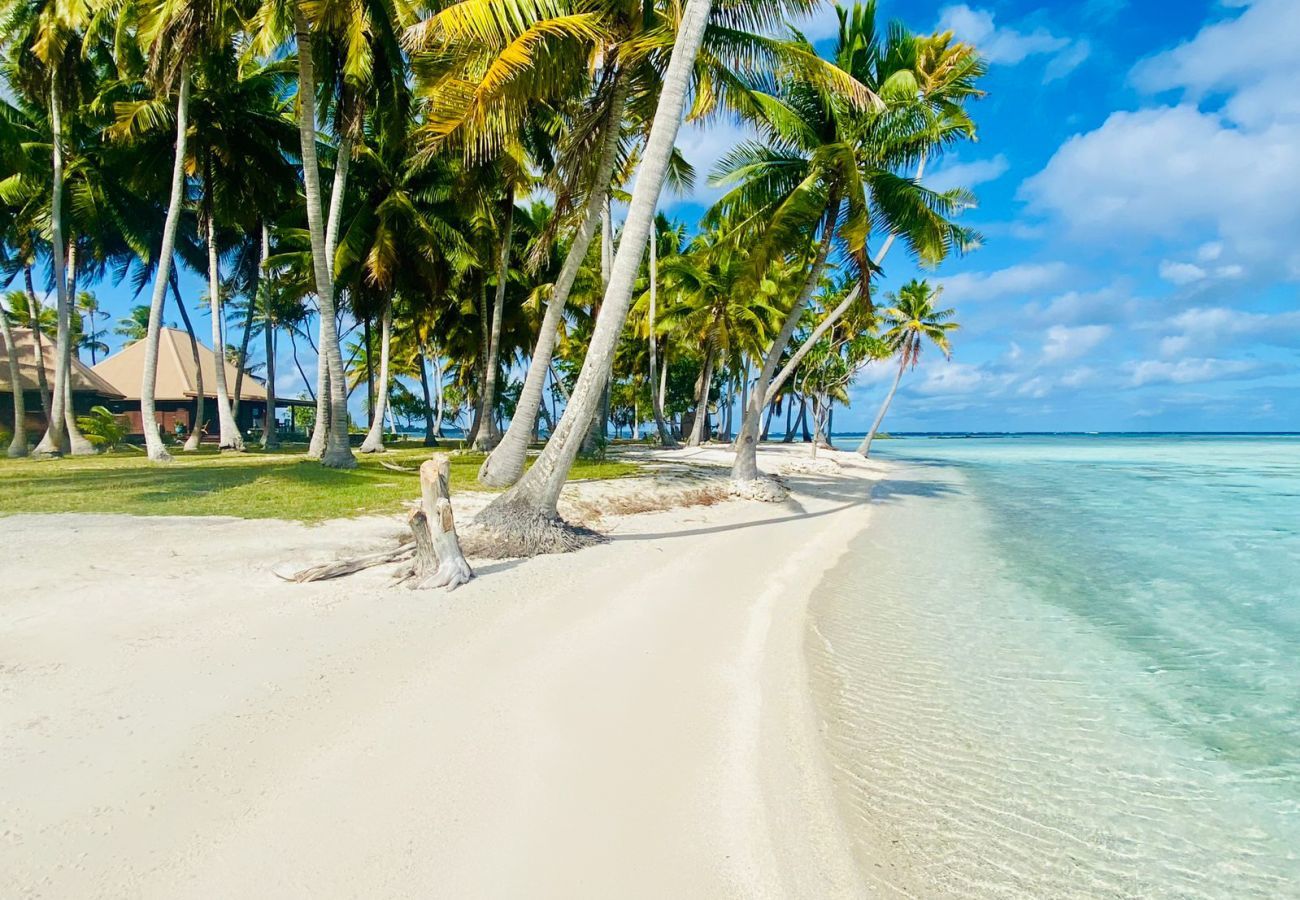 Vivenda de luxo situada num motu privado e na sua praia com uma lagoa cristalina.