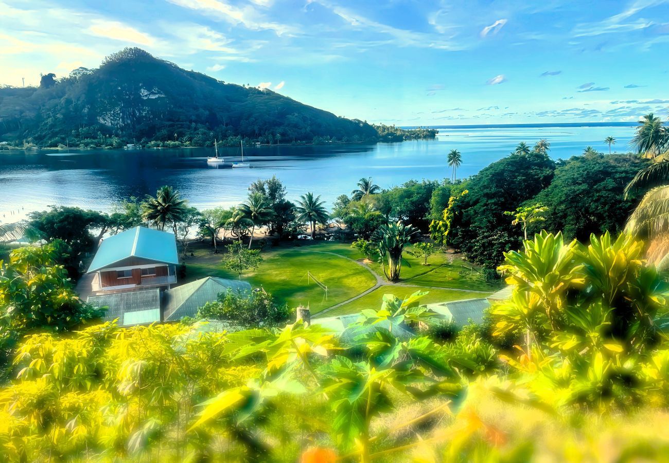Bungalow em Opoa - RAIATEA - Hotopuu Tiare Family