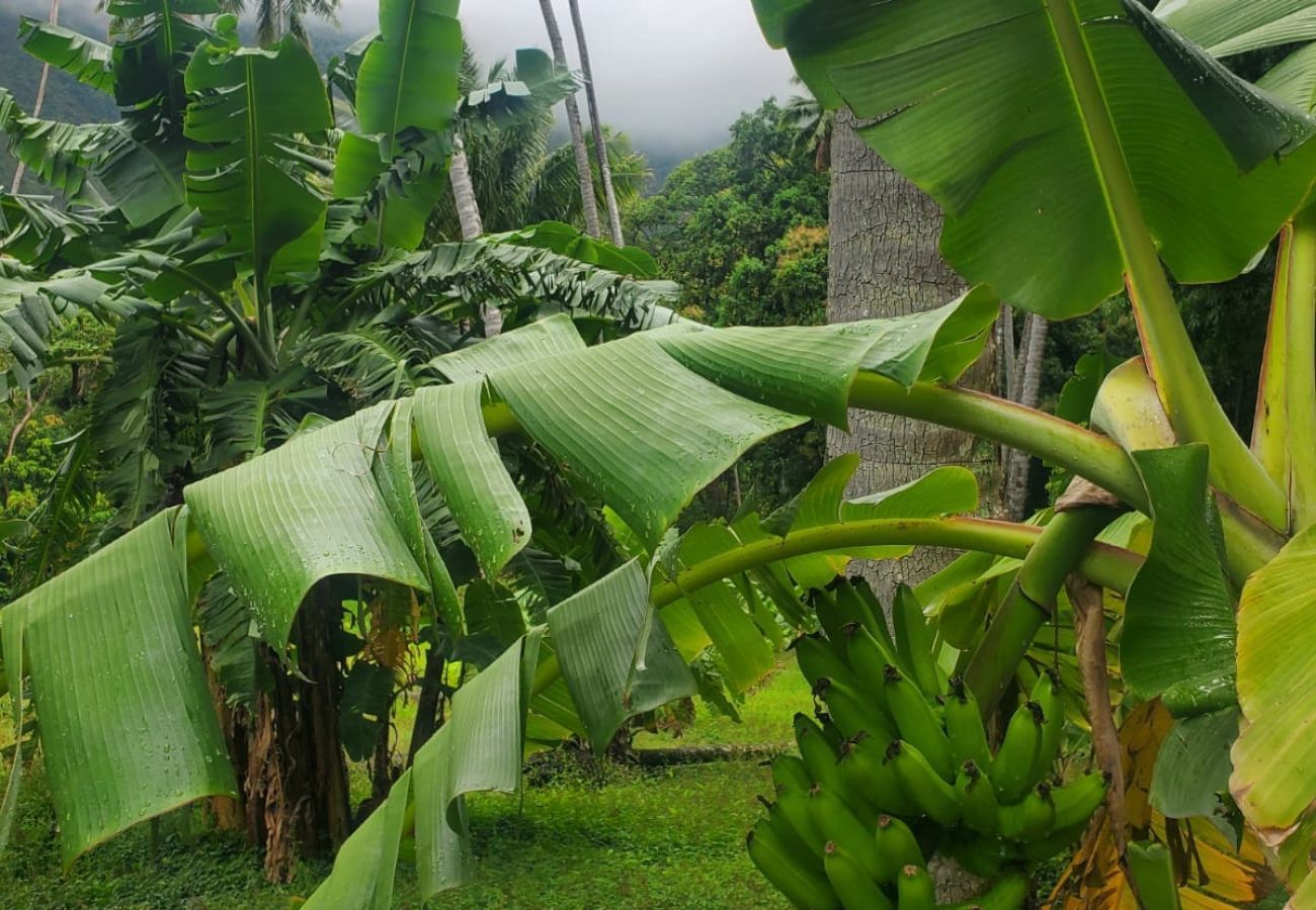 Quarto em Hanavave - FATU HIVA - Hanavave Room 2