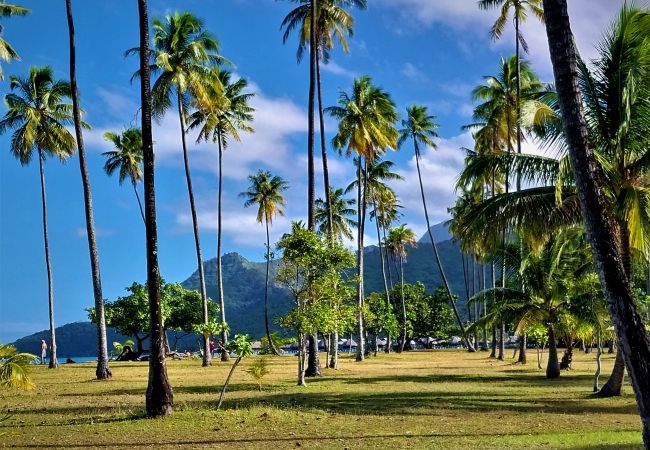 Villa in Temae - MOOREA - Toatea Beach Piti Villa in Temae - MOOREA - Toatea Beach Piti