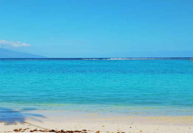 Villa in Temae - MOOREA - Toatea Beach Piti Villa in Temae - MOOREA - Toatea Beach Piti