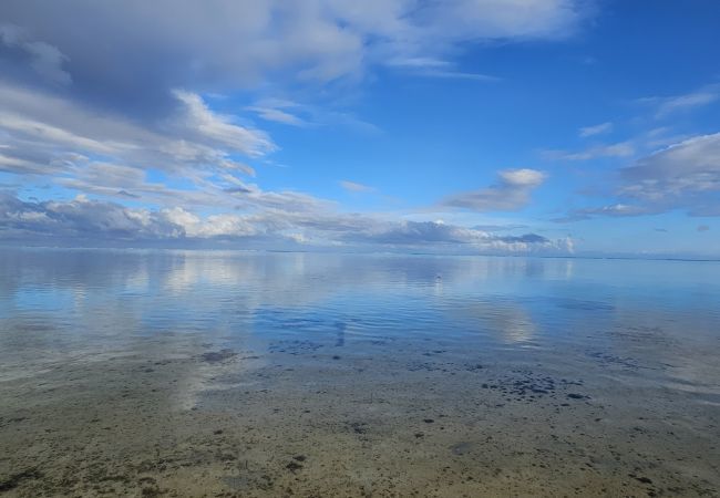 Studio in Hauru - MOOREA - Tropical Nest Studio in Hauru - MOOREA - Tropical Nest