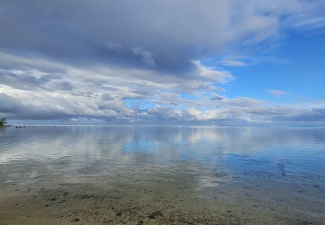 Studio in Hauru - MOOREA - Tropical Nest Studio in Hauru - MOOREA - Tropical Nest