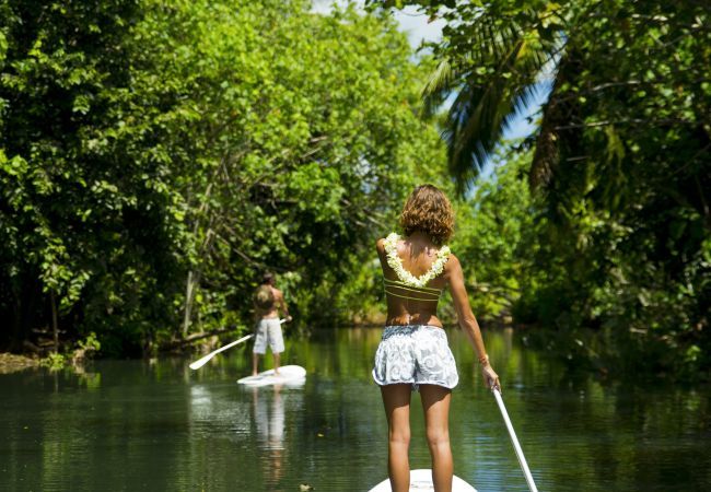 Bungalow in Raiatea - RAIATEA - Fare Coconut Bungalow in Raiatea - RAIATEA - Fare Coconut