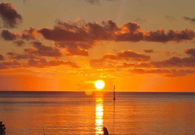 Bungalow in Rangiroa - RANGIROA - My Eden Place Bungalow in Rangiroa - RANGIROA - My Eden Place