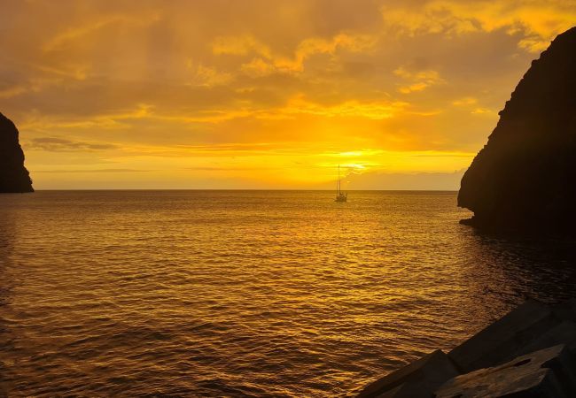 Rent by room in Hanavave - FATU HIVA - Hanavave Room 1 Rent by room in Hanavave - FATU HIVA - Hanavave Room 1