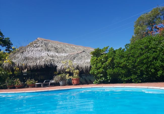 Rent by room in Fare - HUAHINE - Bungalow Napoleon Rent by room in Fare - HUAHINE - Bungalow Napoleon