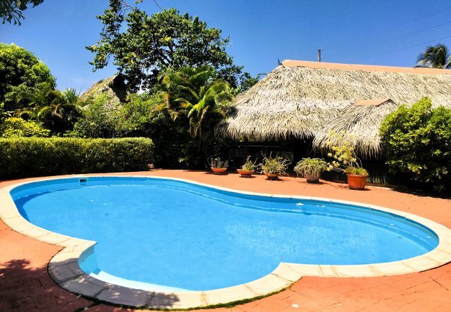 Rent by room in Fare - HUAHINE - Bungalow Picasso Rent by room in Fare - HUAHINE - Bungalow Picasso