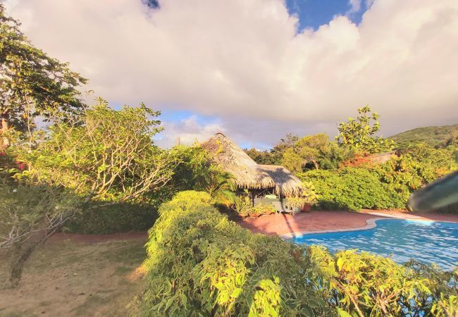 Rent by room in Fare - HUAHINE - Bungalow Picasso Rent by room in Fare - HUAHINE - Bungalow Picasso