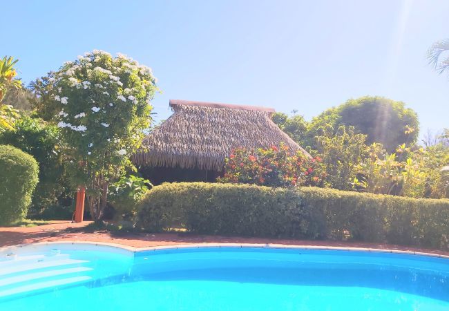 Rent by room in Fare - HUAHINE - Bungalow Picasso Rent by room in Fare - HUAHINE - Bungalow Picasso