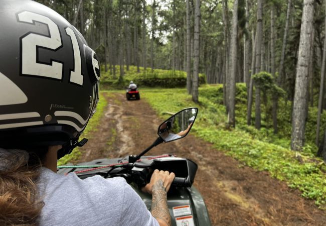 Rent by room in Taiohae - NUKU HIVA - Taio Bay triple Room 4 Rent by room in Taiohae - NUKU HIVA - Taio Bay triple Room 4