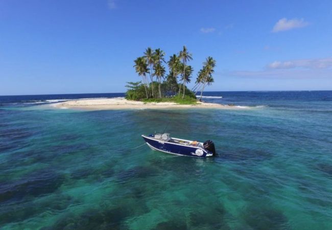 Bungalow in Afaahiti - TAHITI - Ariitea Beach & Pool Bungalow in Afaahiti - TAHITI - Ariitea Beach & Pool