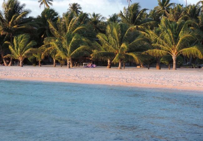 Rent by room in Tuherahera - TIKEHAU - Kaha Beach Family Rent by room in Tuherahera - TIKEHAU - Kaha Beach Family